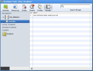 Figure 1.3 - Verifying our record was inserted.